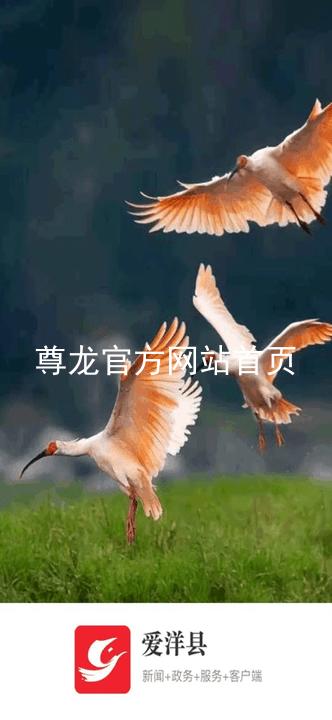 尊龙官方网站首页