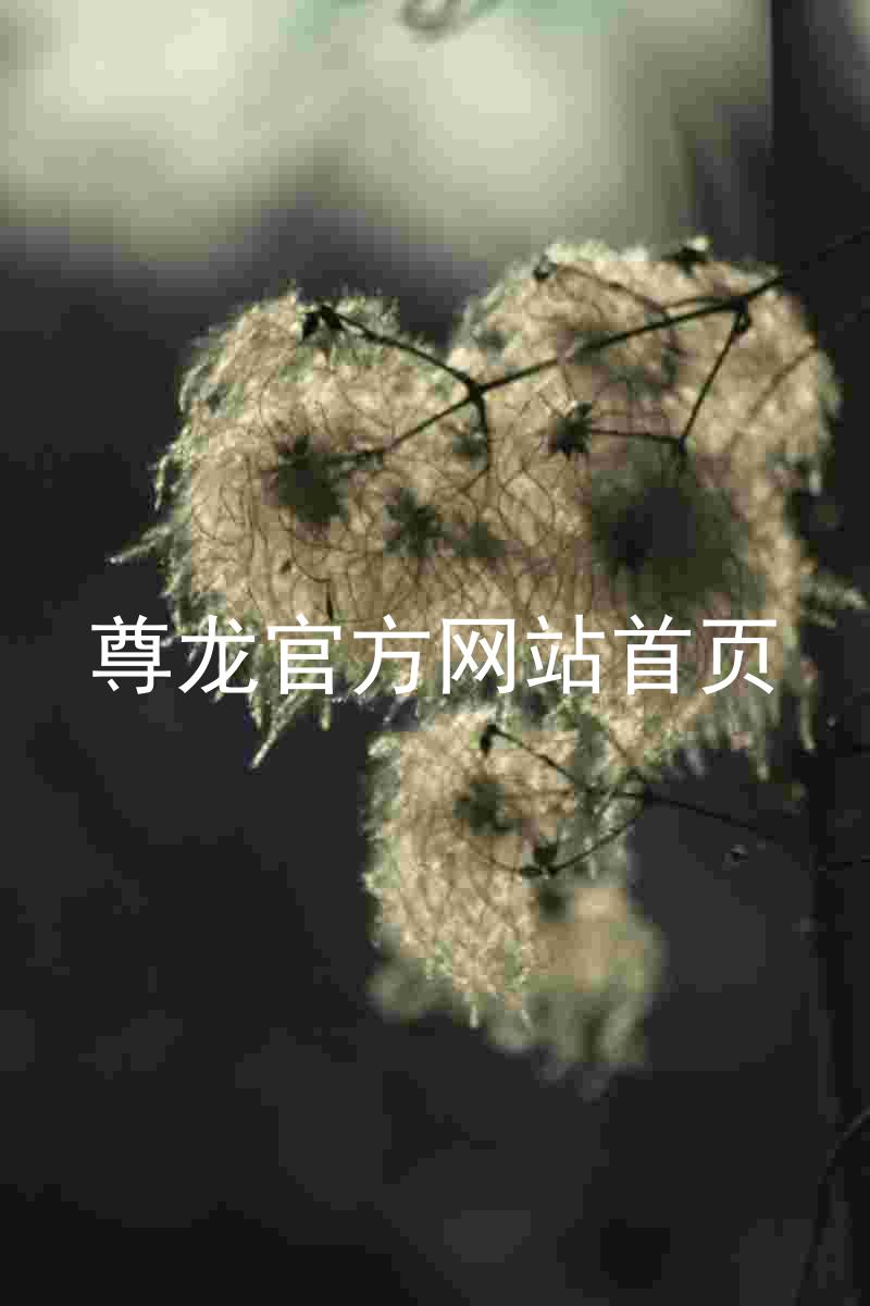 尊龙官方网站首页