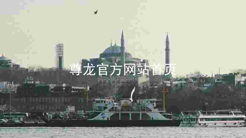 尊龙官方网站首页