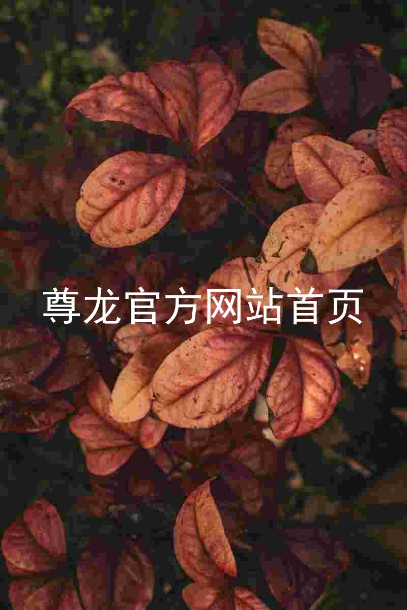 尊龙官方网站首页