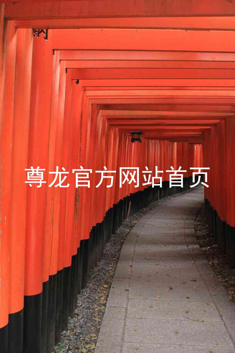 尊龙官方网站首页