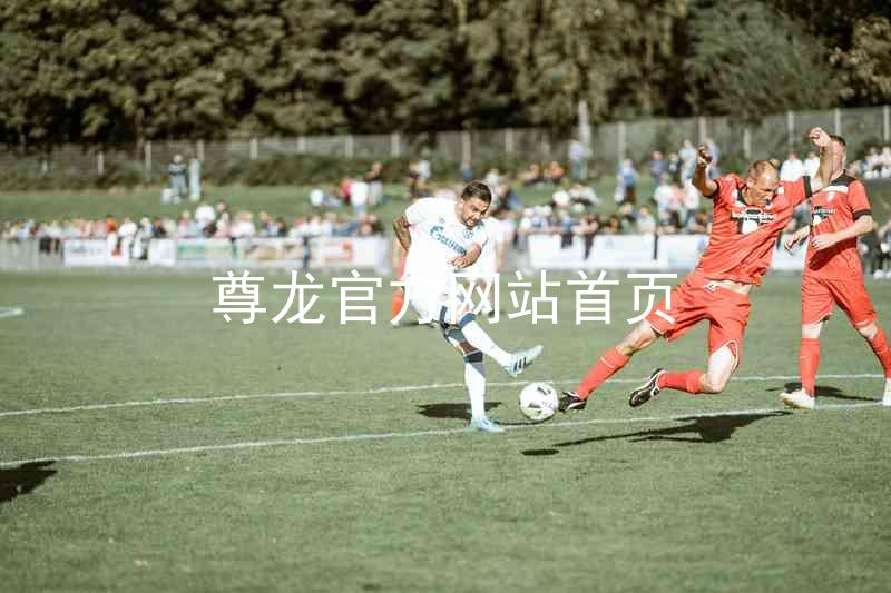 尊龙官方网站首页