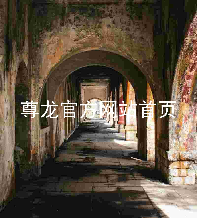 尊龙官方网站首页