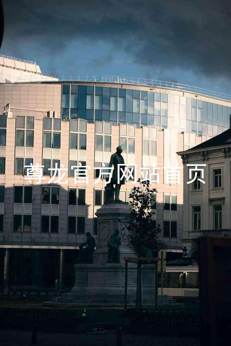 尊龙官方网站首页
