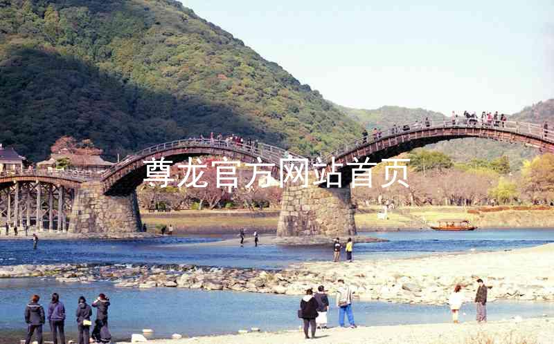 尊龙官方网站首页